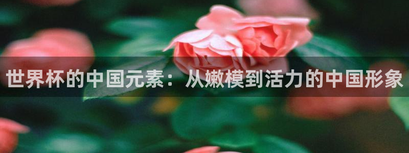 联赛杯直播：世界杯的中国元素：从嫩模到活力的中国形象