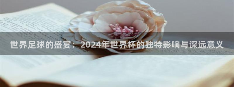 世界杯直播：世界足球的盛宴：2024年世界杯的独特影响与深远意义