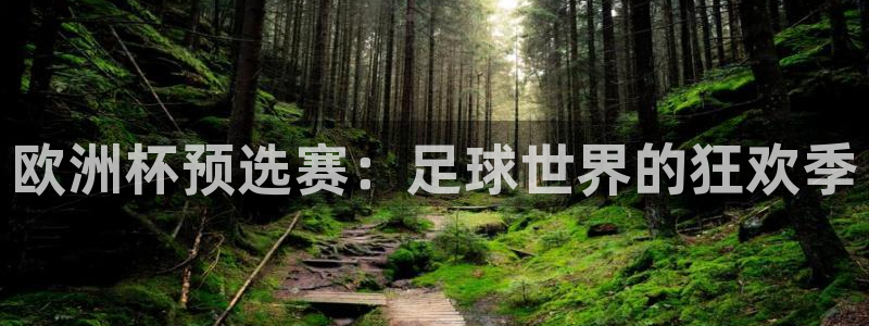 今天所有足球赛程表：欧洲杯预选赛：足球世界的狂欢季