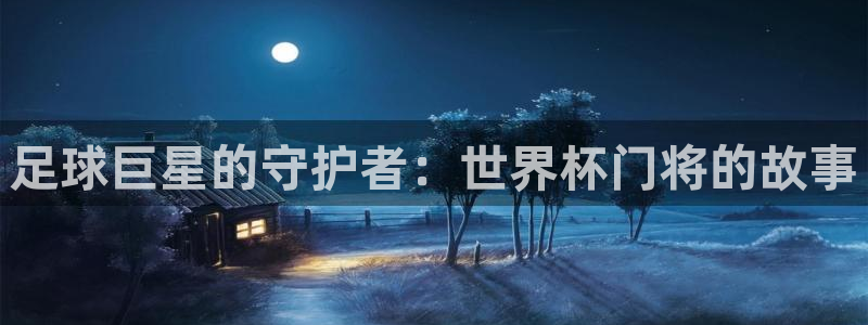 世界杯视频：足球巨星的守护者：世界杯门将的故事