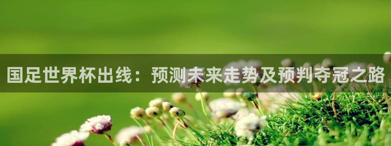 免费足球比赛直播高清：国足世界杯出线：预测未来走势及预判夺冠之路