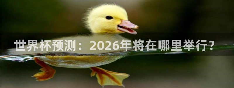 2026世界杯直播：世界杯预测：2026年将在哪里举行？