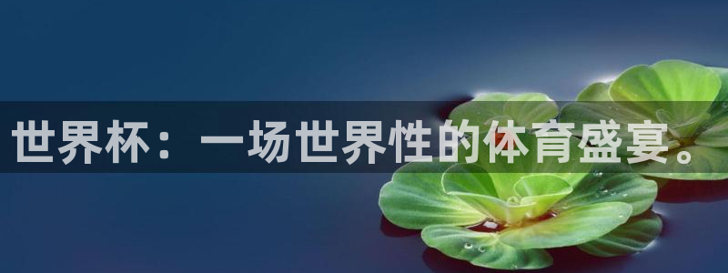 2026世界杯直播：世界杯：一场世界性的体育盛宴。