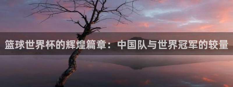 世界杯附加赛赛程表：篮球世界杯的辉煌篇章：中国队与世界冠军的较量