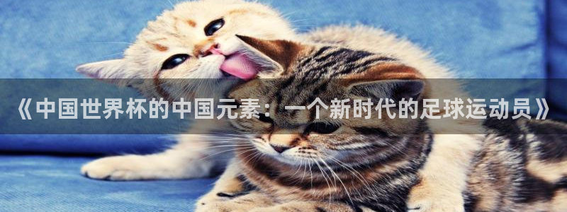 世界杯预选赛赛程表：《中国世界杯的中国元素：一个新时代的足球运动员》