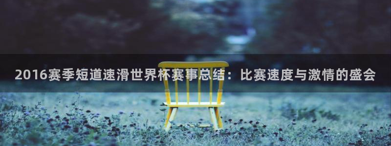 看世界杯：2016赛季短道速滑世界杯赛事总结：比赛速度与激情的盛会