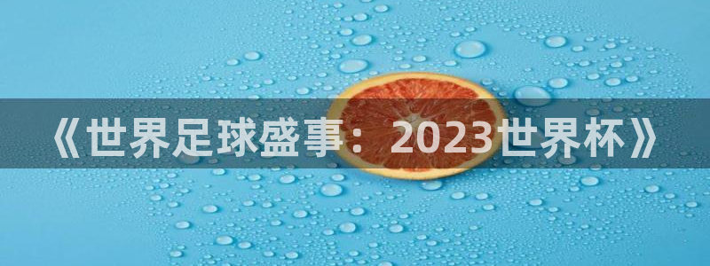 2026世界杯南美区积分榜：《世界足球盛事：2023世界杯》