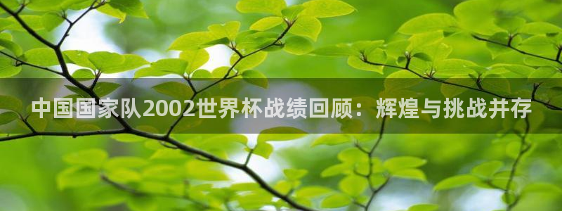 2026年世界杯直播平台：中国国家队2002世界杯战绩回顾：辉煌与挑战并存