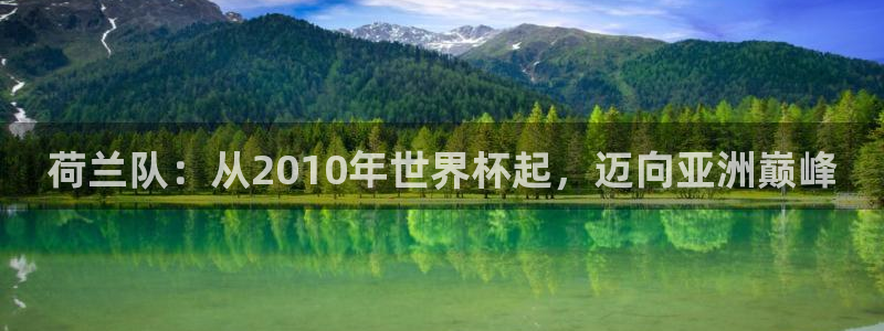 2026世界杯倒计时：荷兰队：从2010年世界杯起，迈向亚洲巅峰