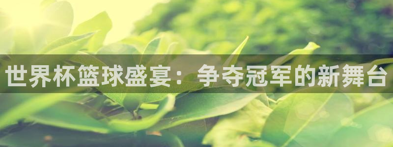 世界杯预赛赛程:世界杯篮球盛宴:争夺冠军的新舞台