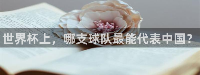 世界杯预选赛直播：世界杯上，哪支球队最能代表中国？