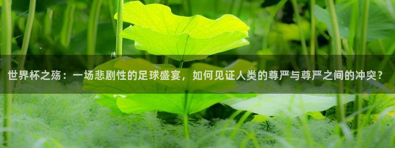 2026世界杯亚洲区预选赛：世界杯之殇：一场悲剧性的足球盛宴，如何见证人类的尊严与尊严之间的冲突？