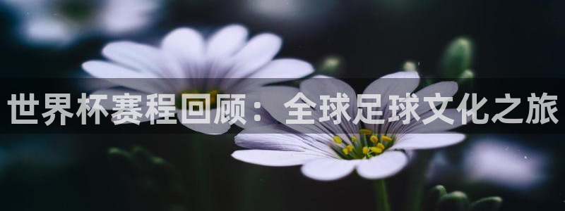 世界杯2026比赛时间表：世界杯赛程回顾：全球足球文化之旅