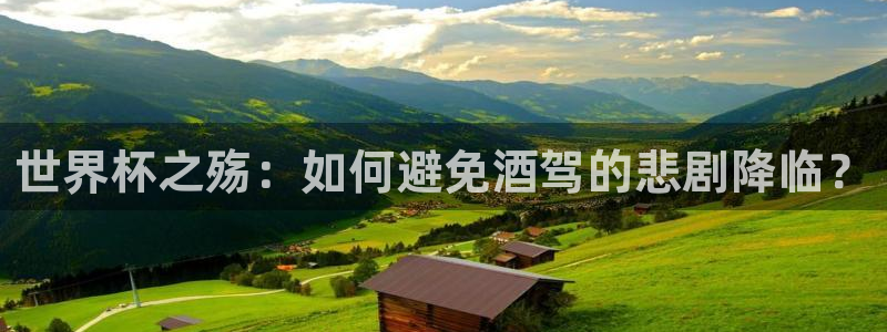 26世界杯：世界杯之殇：如何避免酒驾的悲剧降临？